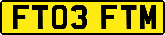FT03FTM
