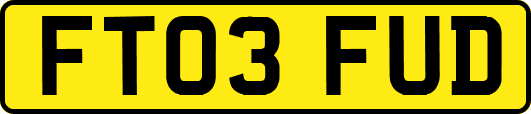 FT03FUD