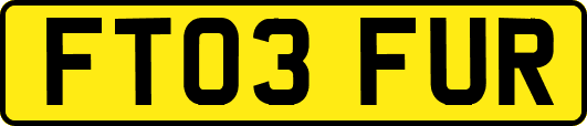 FT03FUR
