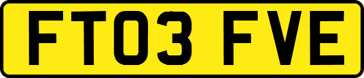 FT03FVE