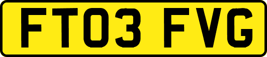 FT03FVG