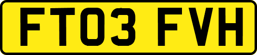 FT03FVH