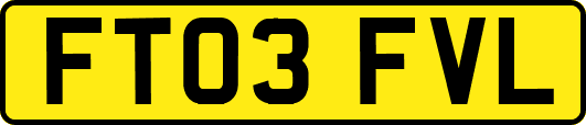 FT03FVL
