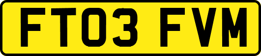 FT03FVM