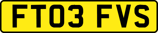 FT03FVS
