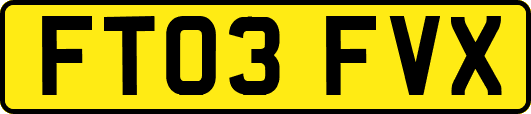 FT03FVX
