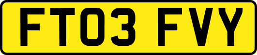 FT03FVY