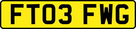 FT03FWG