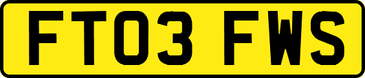 FT03FWS