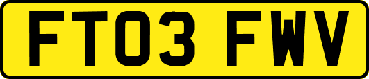 FT03FWV