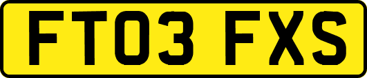 FT03FXS