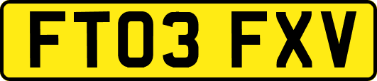 FT03FXV
