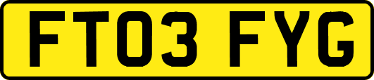 FT03FYG