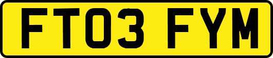 FT03FYM