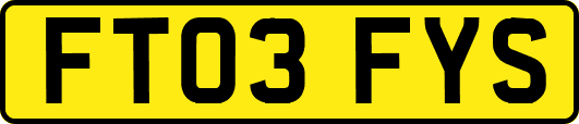 FT03FYS