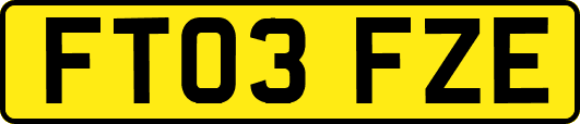 FT03FZE