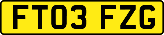 FT03FZG