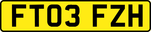 FT03FZH