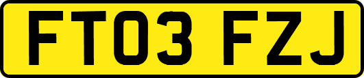 FT03FZJ