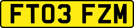 FT03FZM