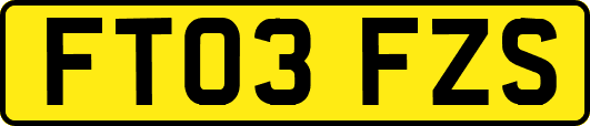 FT03FZS