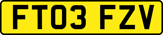 FT03FZV