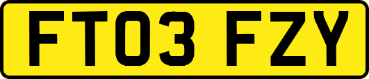 FT03FZY