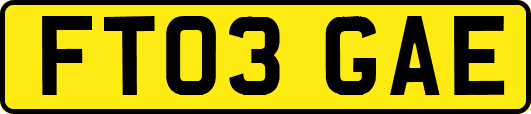 FT03GAE