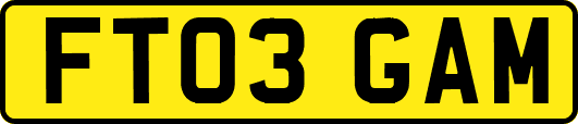 FT03GAM
