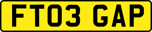 FT03GAP