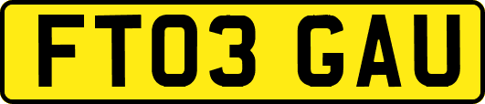 FT03GAU