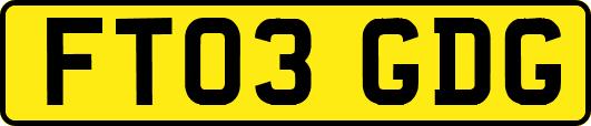 FT03GDG