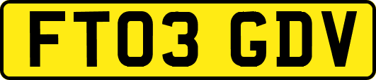 FT03GDV