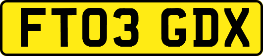 FT03GDX