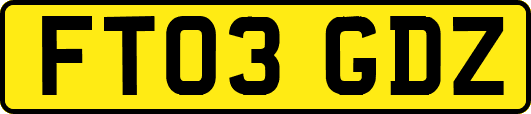 FT03GDZ