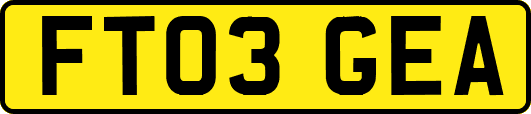 FT03GEA