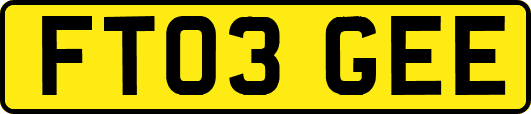 FT03GEE