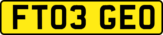 FT03GEO