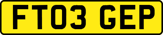 FT03GEP