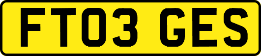 FT03GES