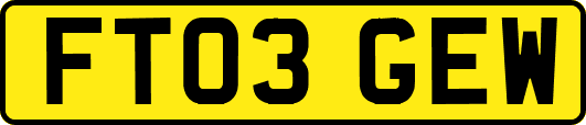 FT03GEW