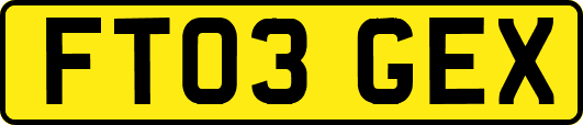 FT03GEX