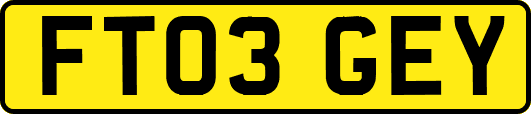 FT03GEY