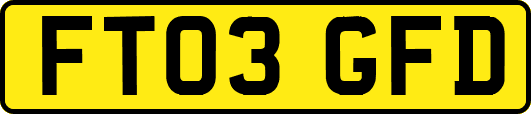FT03GFD