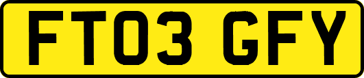 FT03GFY