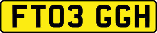 FT03GGH