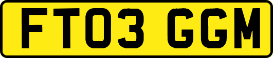 FT03GGM