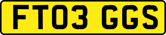 FT03GGS