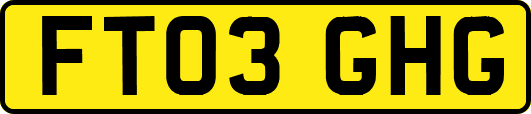 FT03GHG