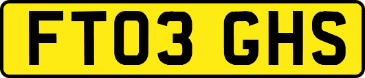 FT03GHS